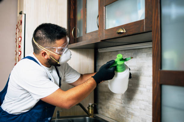 Best Pest Prevention Services  in Brownfield, TX