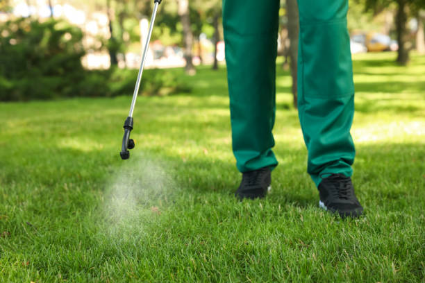 Best Rat Extermination Near Me  in Brownfield, TX