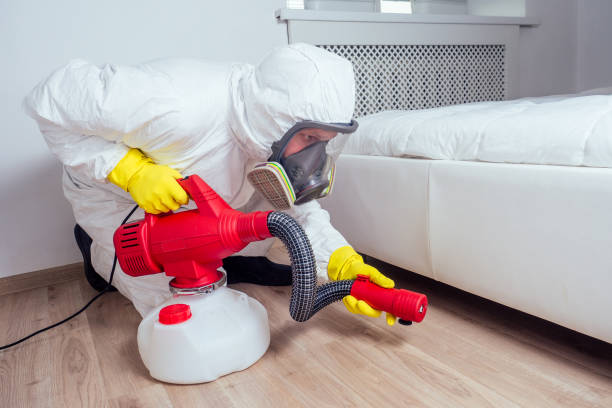 Best Affordable Pest Control Services  in Brownfield, TX