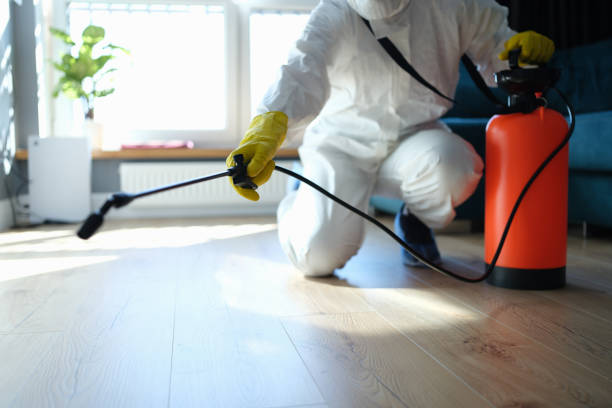 Best Affordable Pest Control Services  in Brownfield, TX