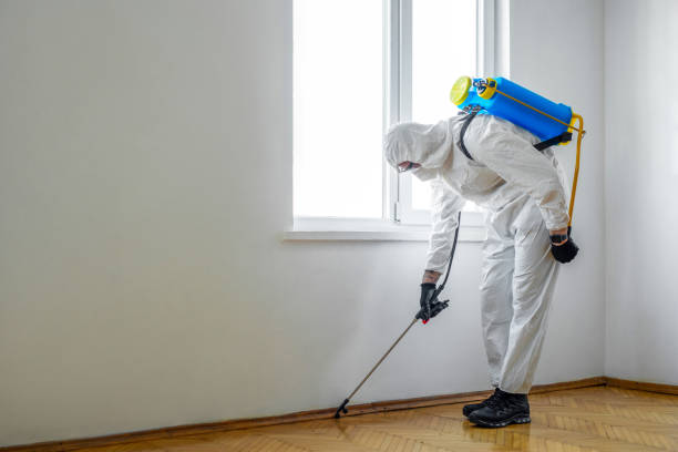 Best Residential Pest Control  in Brownfield, TX