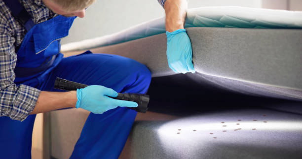 Professional Pest Control in Brownfield, TX