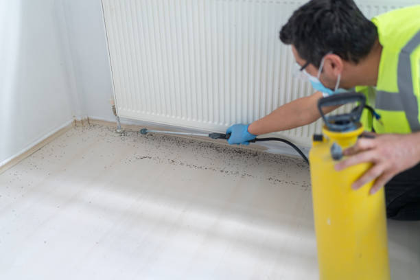 Best Wasp Removal Services  in Brownfield, TX
